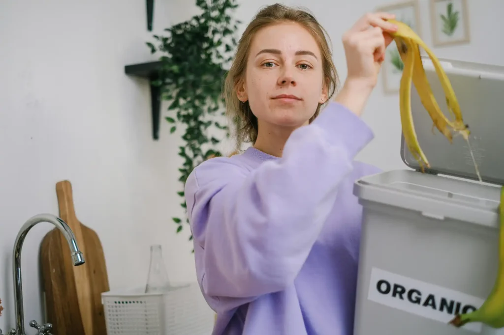 compost organic bin for indoors