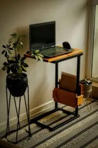 An Eco-Friendly Desk setup with indoor green plants and sustainable accessories