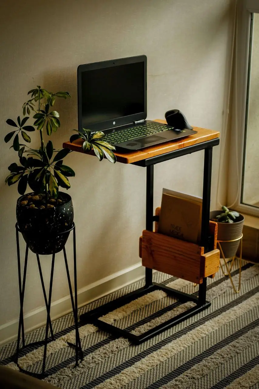 An Eco-Friendly Desk setup with indoor green plants and sustainable accessories